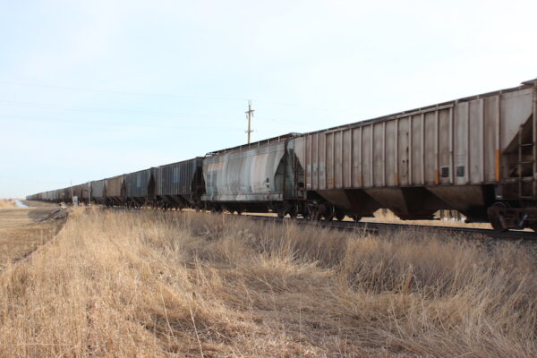 Train copy